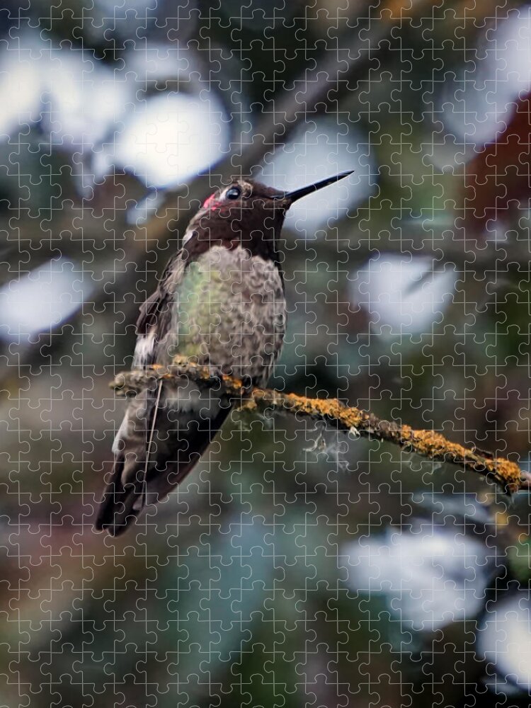 Humming Bird Jigsaw Puzzle featuring the photograph Blending In by Wayne Enslow