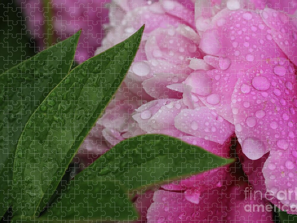 Blessings Of The Rains Jigsaw Puzzle featuring the photograph Blessings of the Rains by Rachel Cohen