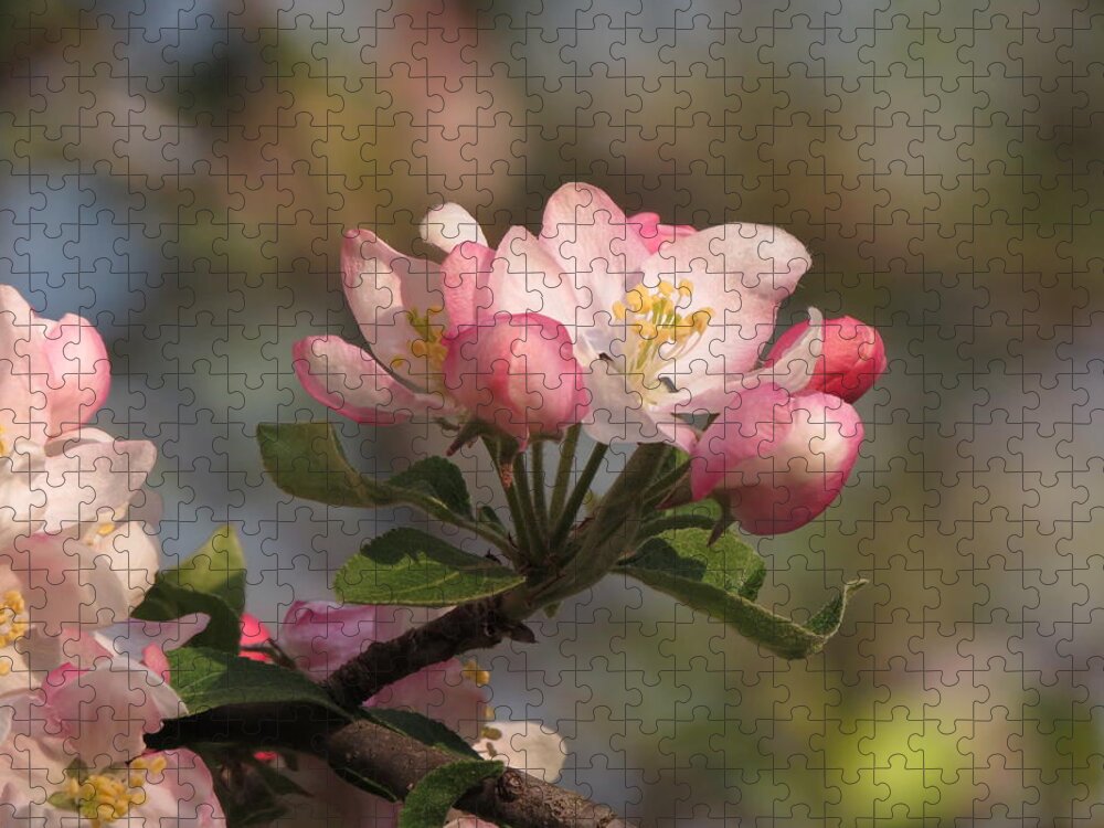  Jigsaw Puzzle featuring the photograph Blooming by Kimberly Mackowski