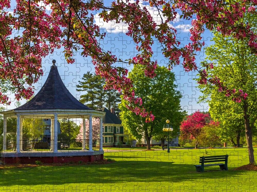 Park Jigsaw Puzzle featuring the photograph Blossoms and Benches by Tim Kirchoff