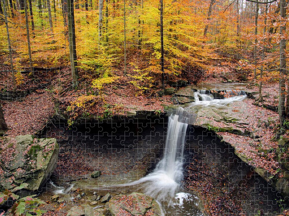 Ohio Jigsaw Puzzle featuring the photograph Blue Hen Falls 2 by Ann Bridges
