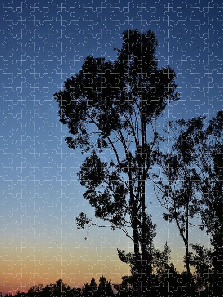 Linda Brody Jigsaw Puzzle featuring the photograph Blue and Gold Sunset Tree Silhouette I by Linda Brody