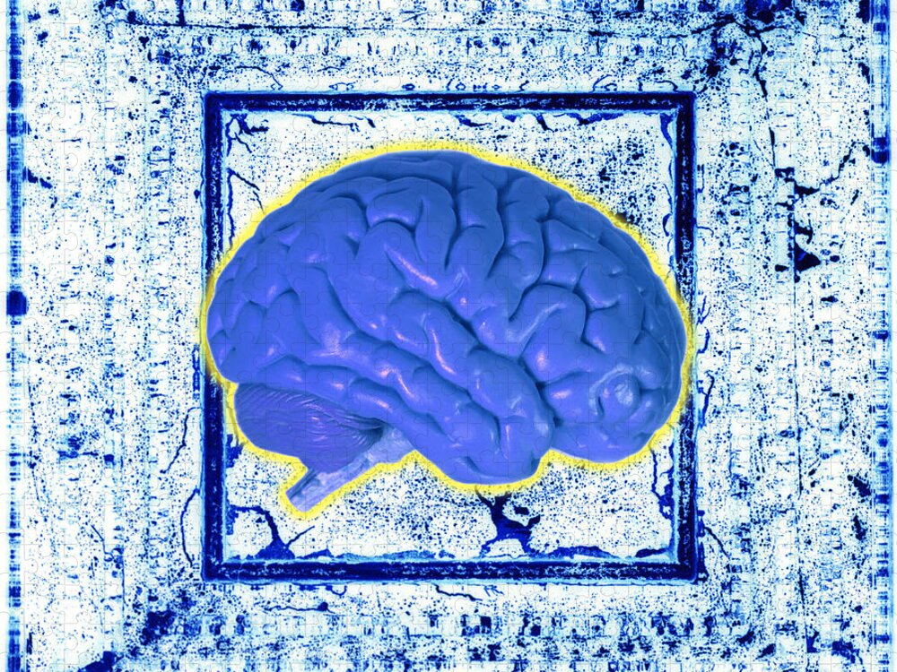 Brain Jigsaw Puzzle featuring the photograph Blue Brain by George Mattei