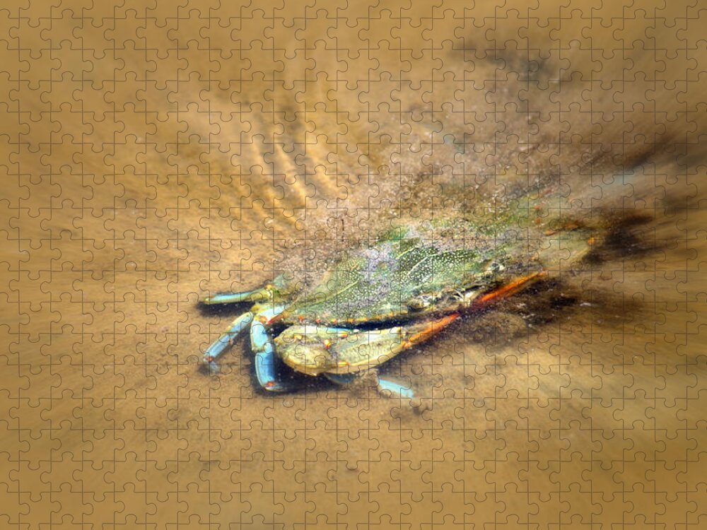 Animal Jigsaw Puzzle featuring the photograph Blue Crab Hiding in the Sand by Debra Martz