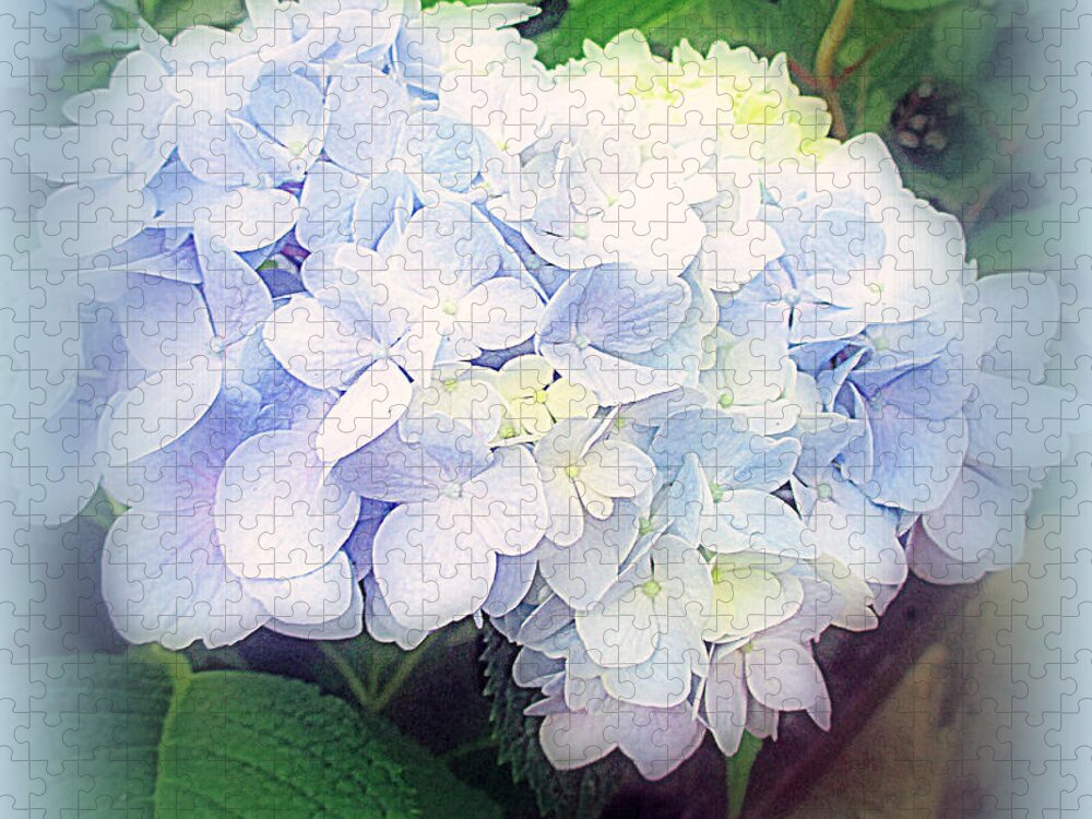 Flower Jigsaw Puzzle featuring the photograph Blue Hydrangea by Kay Novy