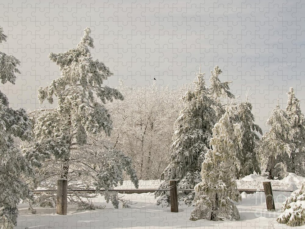 Winter Jigsaw Puzzle featuring the photograph Blue Knob Winter by Lois Bryan