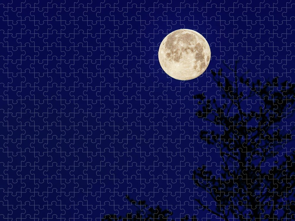 Full Moon Jigsaw Puzzle featuring the photograph Blue moon by Joe Holley