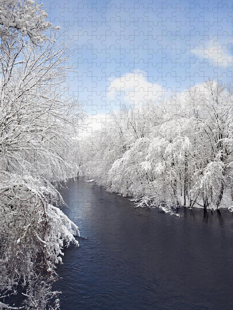 Dexter Jigsaw Puzzle featuring the photograph Blue Ribbon River 2 by Jill Love