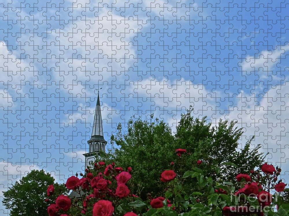 Mauricetown Jigsaw Puzzle featuring the photograph Blue Sky and Roses by Nancy Patterson