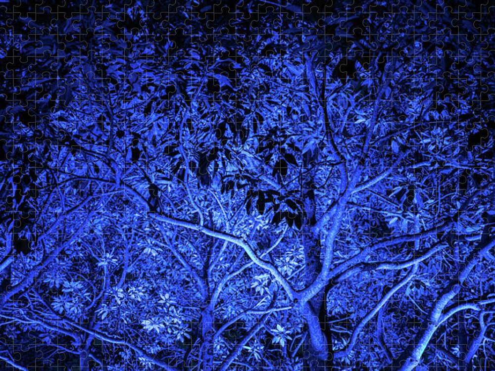 Cairns Jigsaw Puzzle featuring the photograph Blue trees by Jocelyn Kahawai