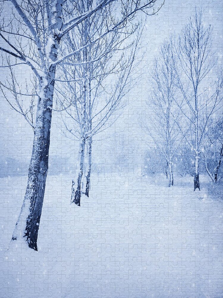 Theresa Tahara Jigsaw Puzzle featuring the photograph Blue Winter Path by Theresa Tahara