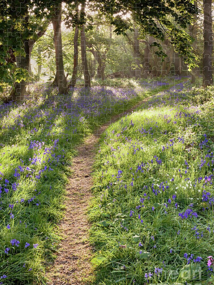 Bluebell Forest Jigsaw Puzzle featuring the photograph Bluebell woodland path with dreamy sunrise by Simon Bratt