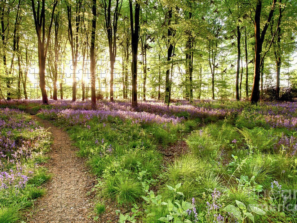 Bluebells Jigsaw Puzzle featuring the photograph Bluebell woods with birds flocking by Simon Bratt