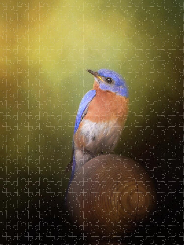 Jai Johnson Jigsaw Puzzle featuring the photograph Bluebird On The Nest Pole by Jai Johnson