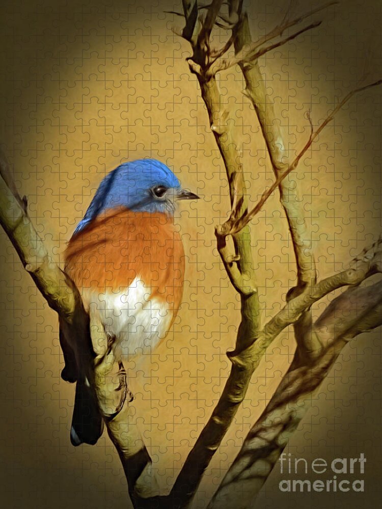 Bluebird Jigsaw Puzzle featuring the photograph Bluebird Waiting For Spring by Sue Melvin