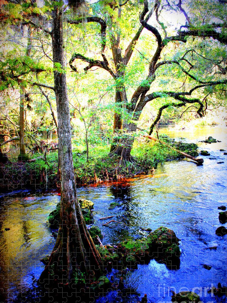 Florida Jigsaw Puzzle featuring the photograph Blues in Florida Swamp by Carol Groenen
