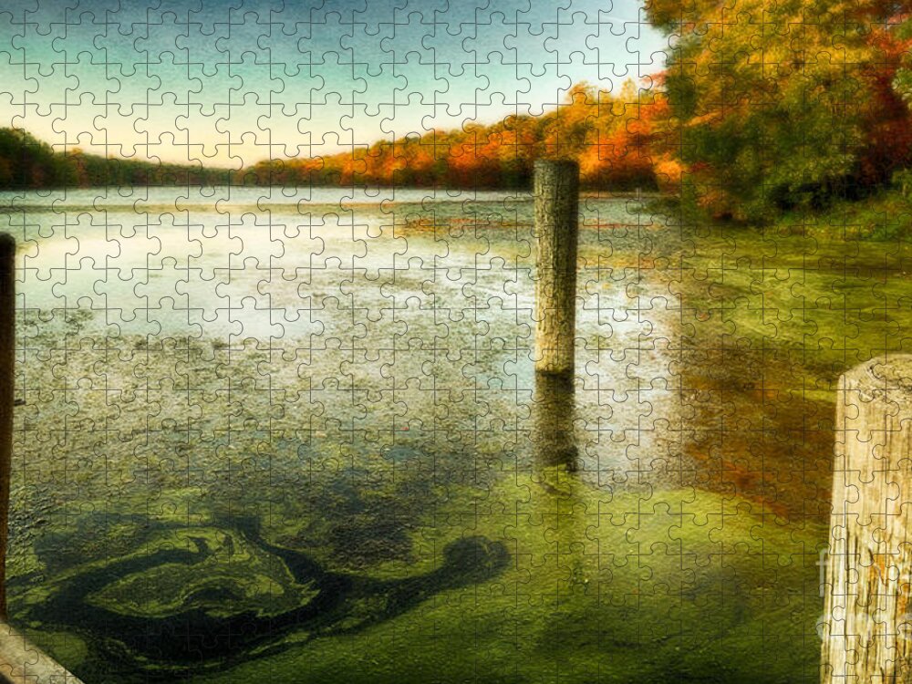 Blydenberg Park Jigsaw Puzzle featuring the photograph Blydenberg Park in the Fall by Alissa Beth Photography