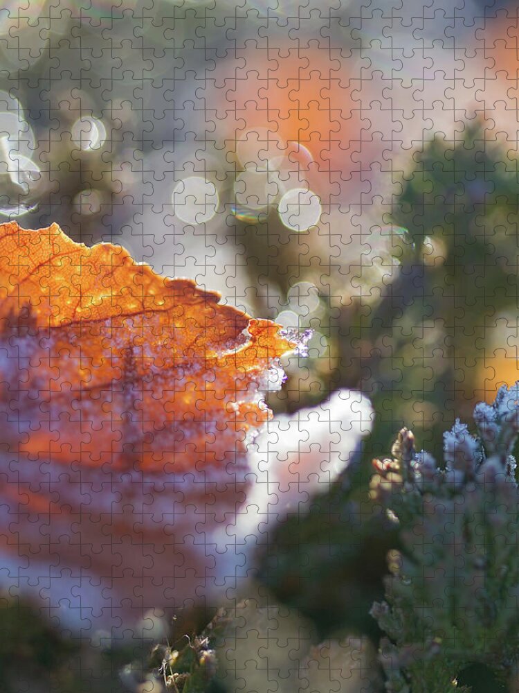 Sky Is The Limit Images Jigsaw Puzzle featuring the photograph Bokeh Shapes by Becca Buecher