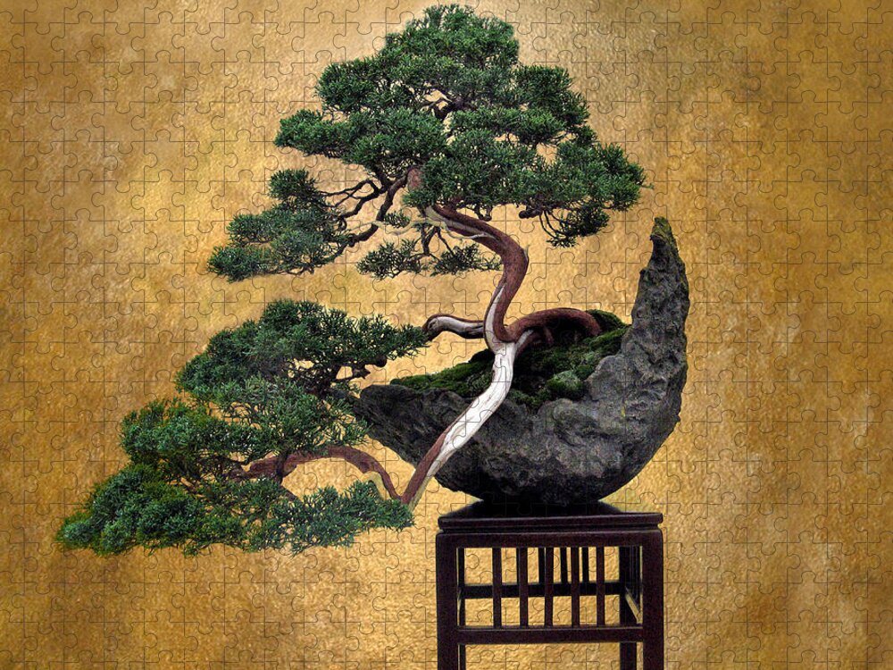 Tree Jigsaw Puzzle featuring the photograph Bonsai 3 by Jessica Jenney