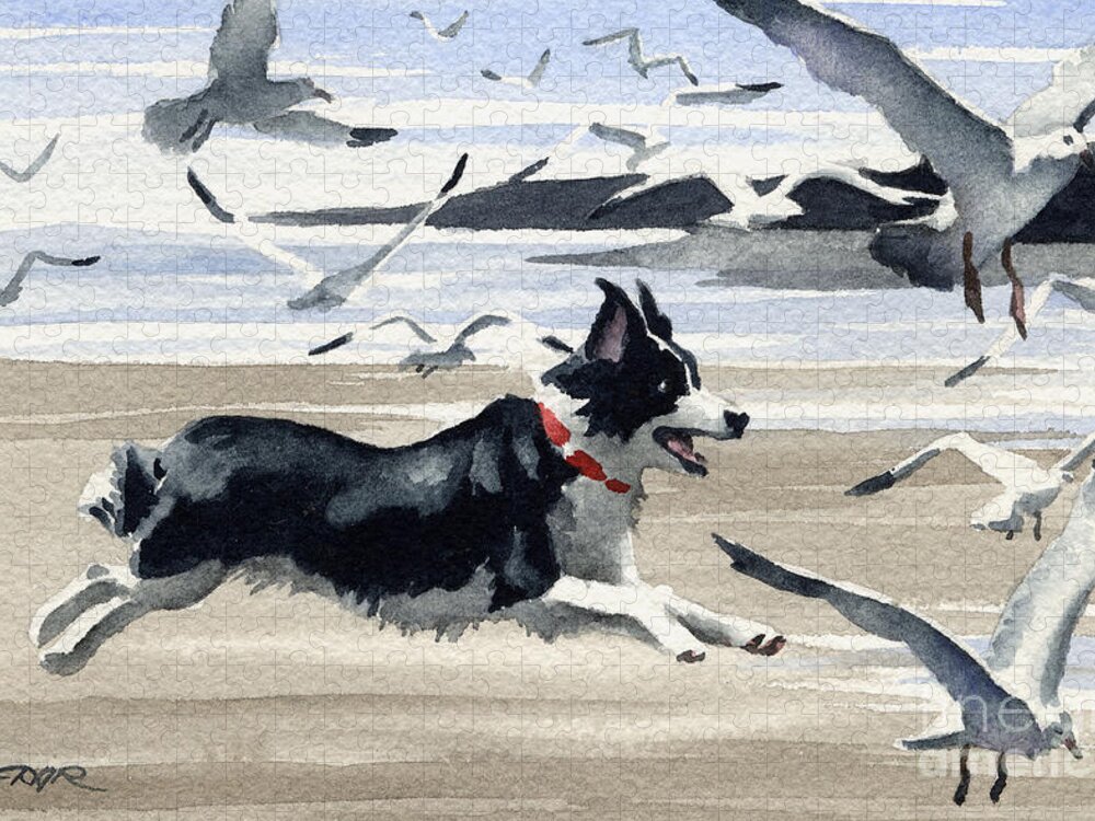 Border Jigsaw Puzzle featuring the painting Border Collie At The Beach by David Rogers