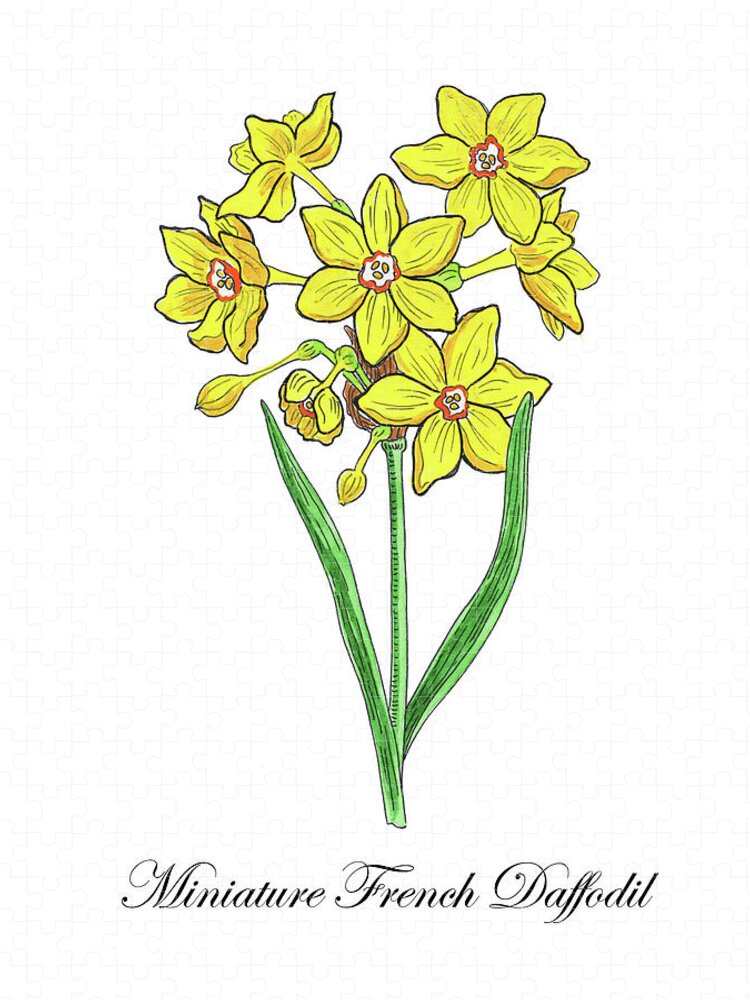miniature watercolor flowers botanical watercolor