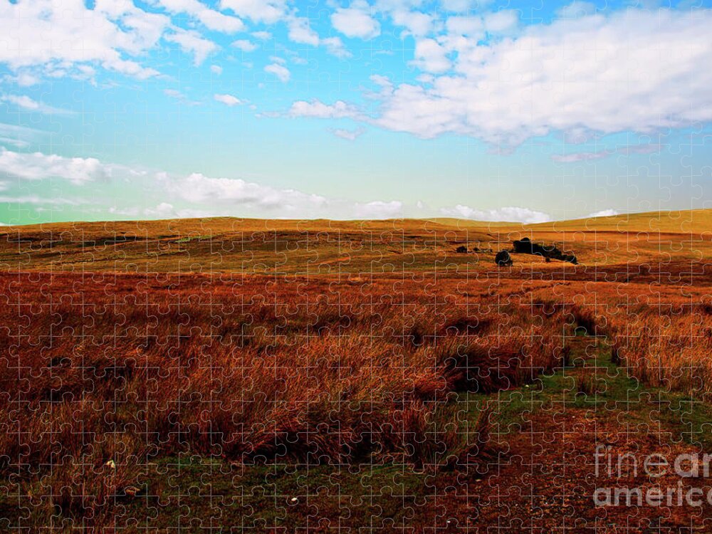 Outdoors Jigsaw Puzzle featuring the photograph Brecon Beacons by Richard Denyer