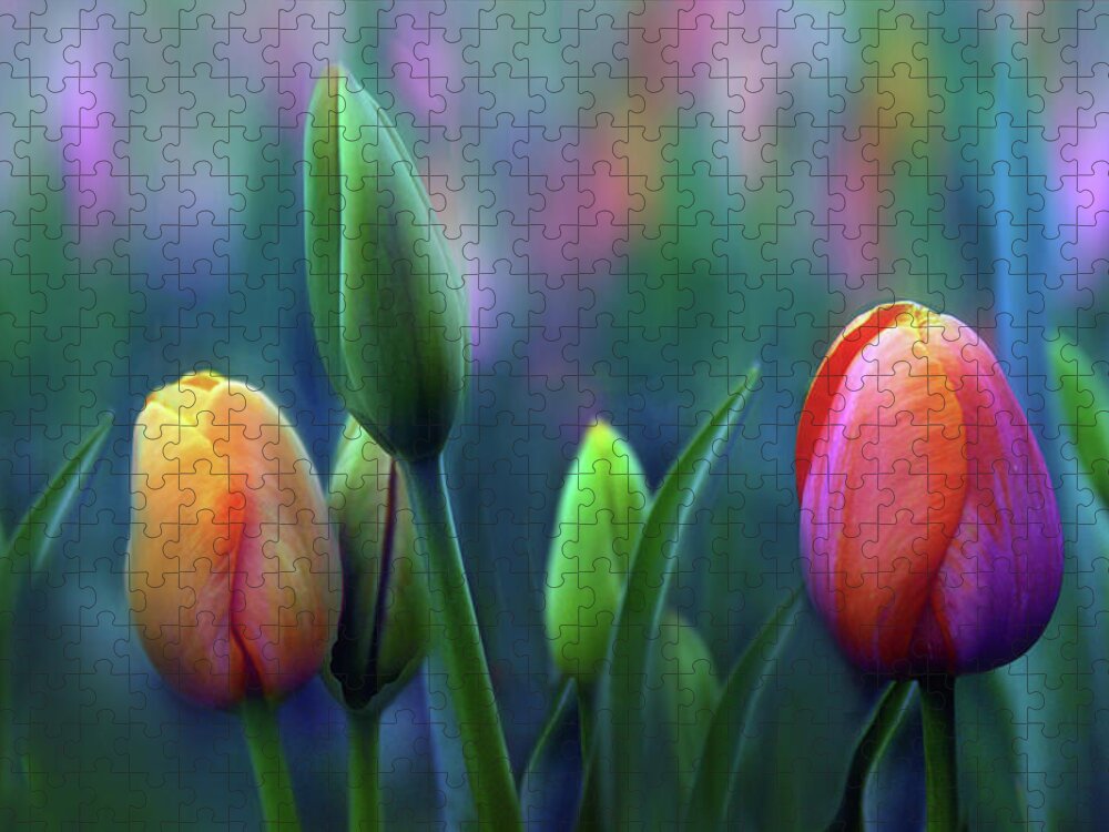 Tulips Jigsaw Puzzle featuring the photograph Breezy by Jessica Jenney