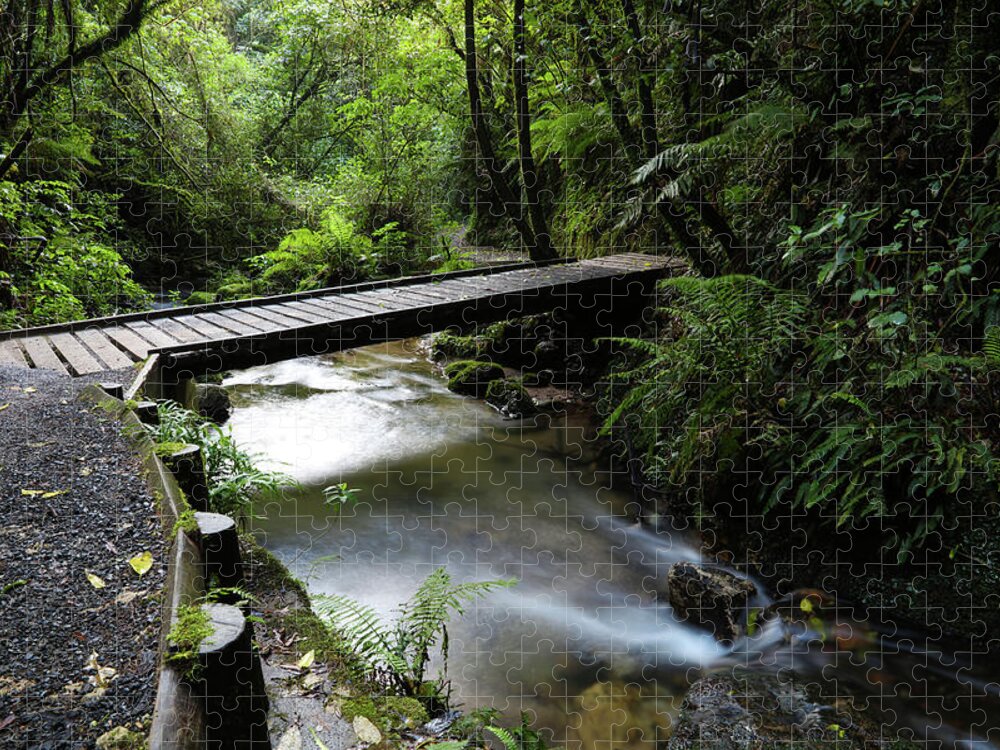 Pathway Jigsaw Puzzle featuring the photograph Bridge in forest by Les Cunliffe