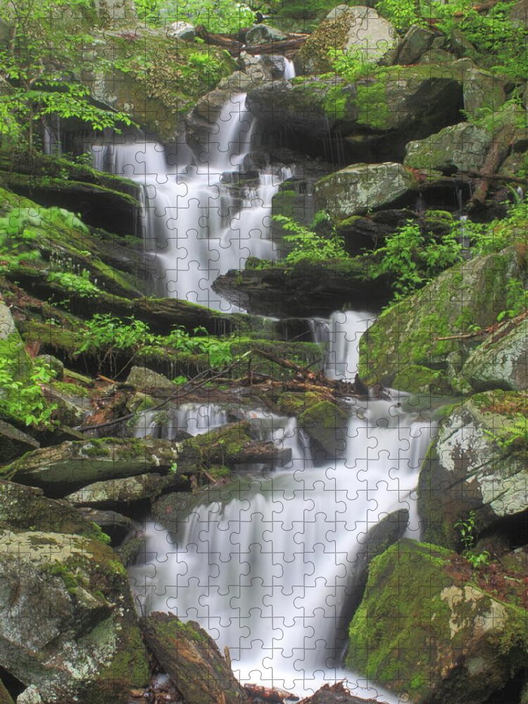 Waterfall Jigsaw Puzzle featuring the photograph Briggs Brook Waterfall New England National Scenic Trail by John Burk