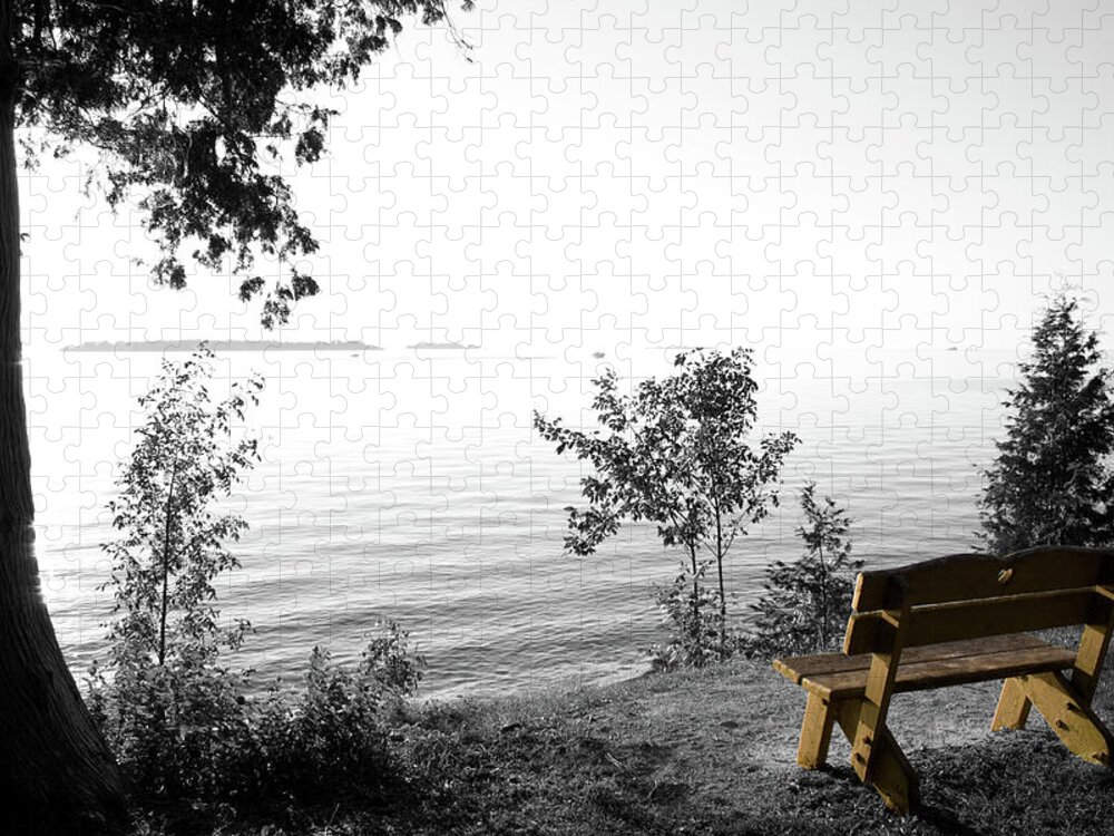 Bright Bay Bench Jigsaw Puzzle featuring the photograph Bright Bay Bench by Dylan Punke