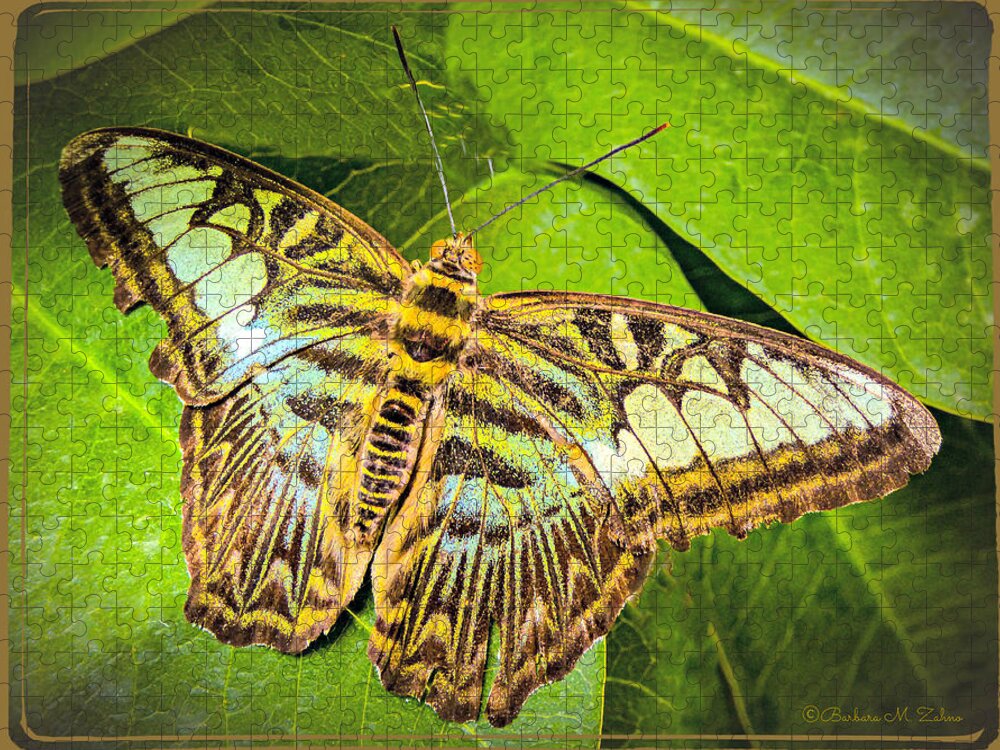 Butterfly Jigsaw Puzzle featuring the photograph Brown-Green Butterfly by Barbara Zahno
