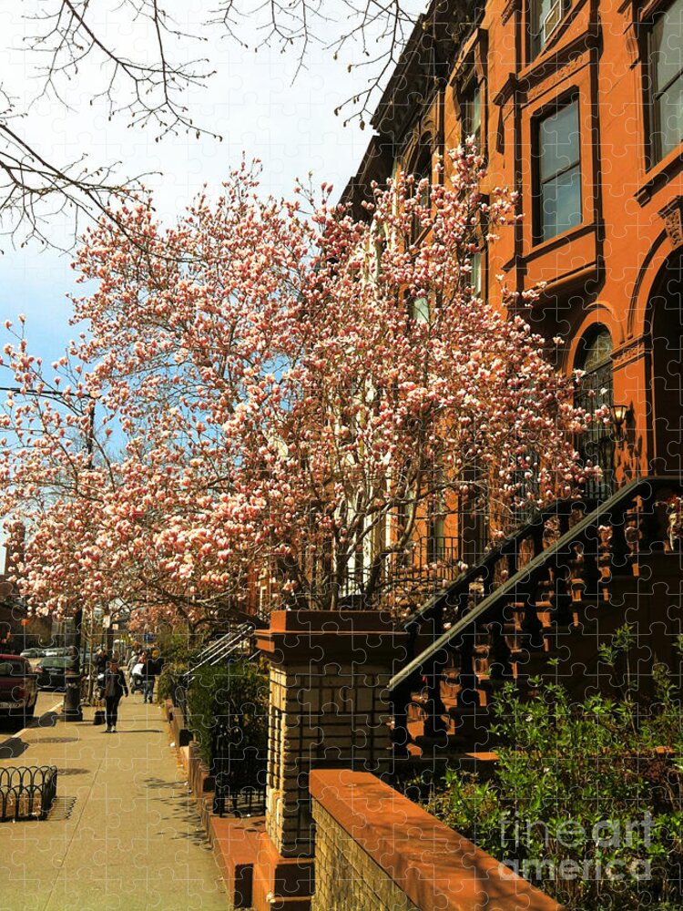 Brownstones Jigsaw Puzzle featuring the photograph Brownstones and Blossoms by Onedayoneimage Photography