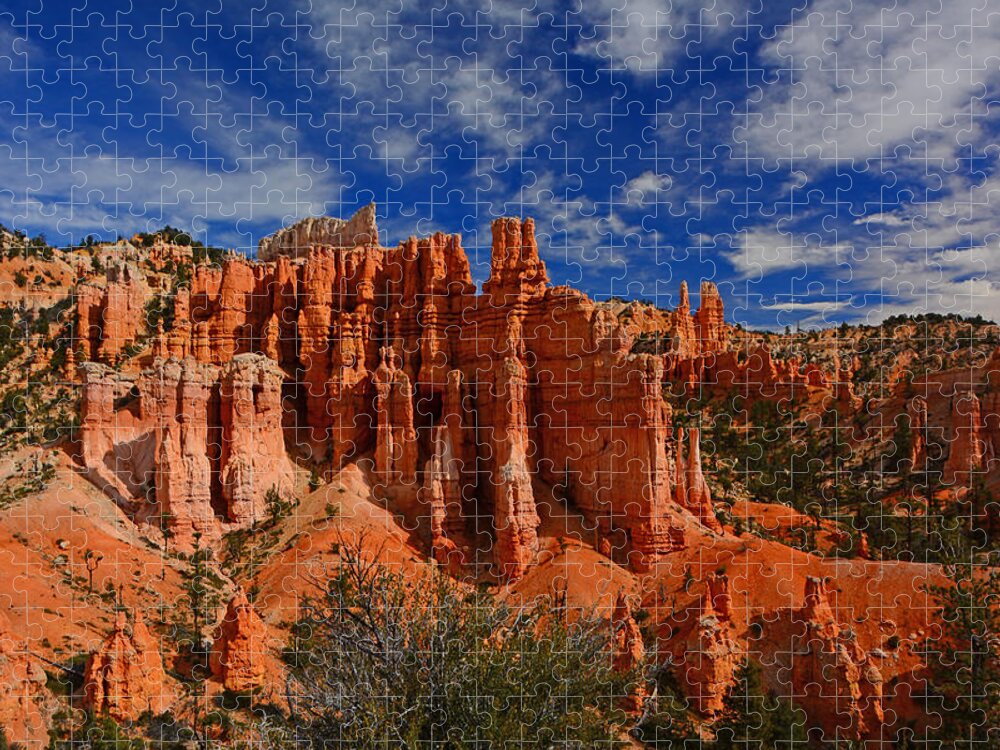 Bryce Hoodoos Jigsaw Puzzle featuring the photograph Bryce Hoodoos 2 by Raymond Salani III