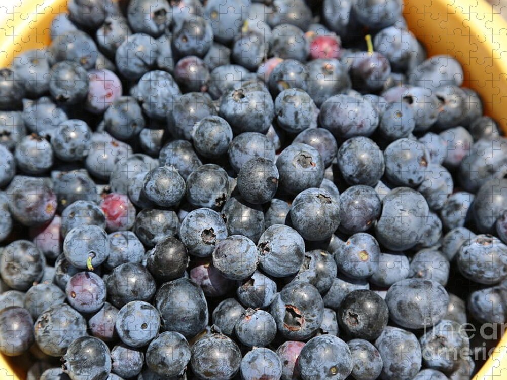 Blueberry Jigsaw Puzzle featuring the photograph Bucket of Blueberries by Carol Groenen