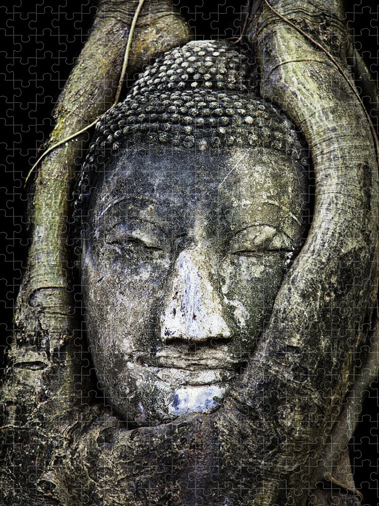 Buddha Head Jigsaw Puzzle featuring the photograph Buddha Head in Banyan Tree by Adrian Evans
