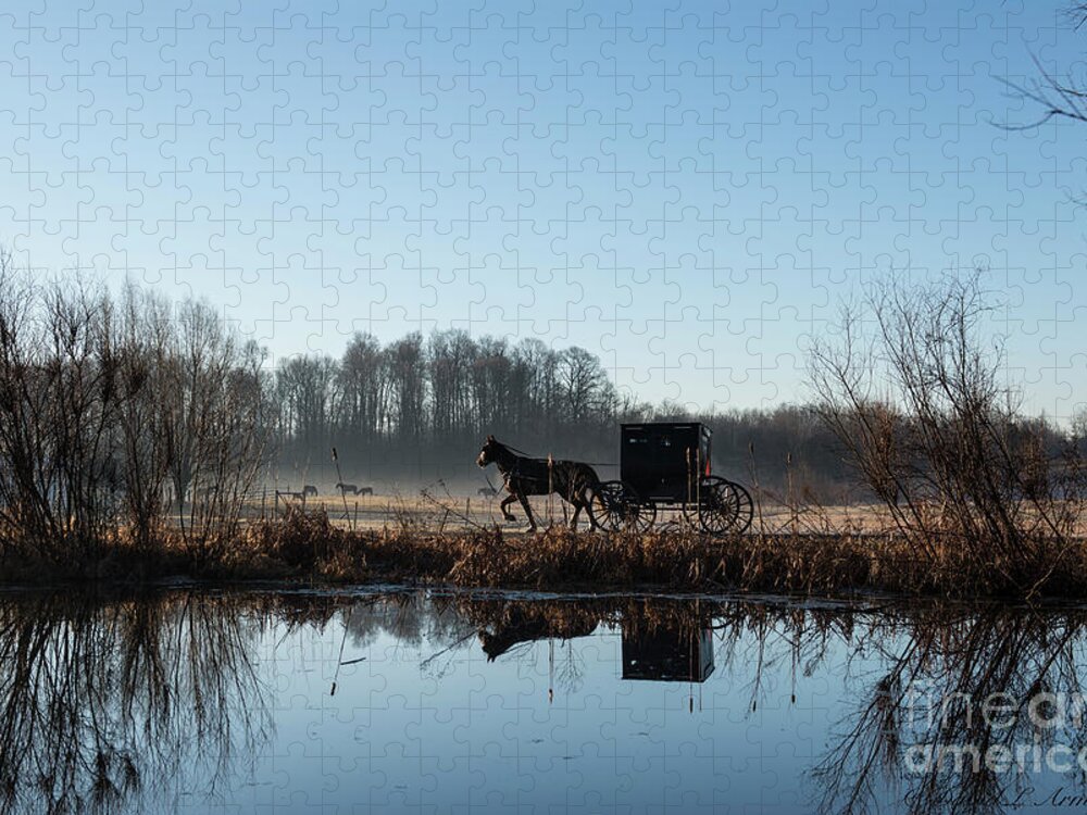 Amish Jigsaw Puzzle featuring the photograph Buggy Reflected in Pond by David Arment