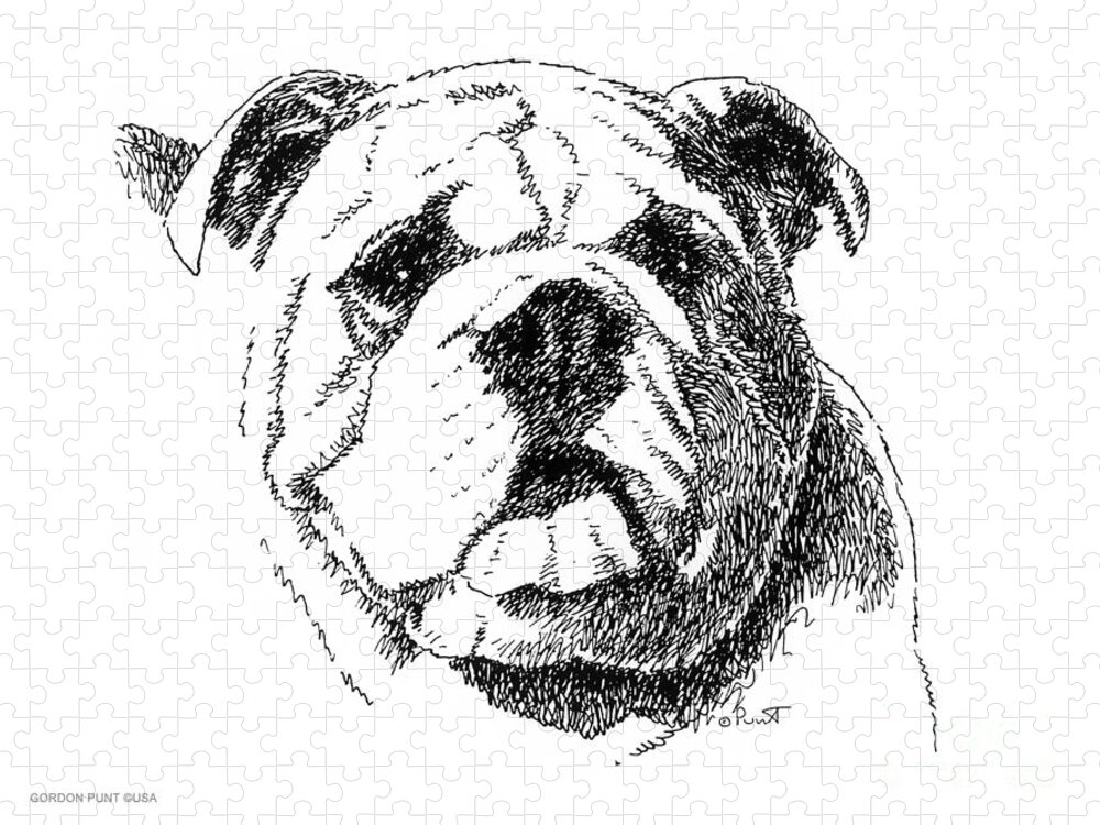 Bulldog Jigsaw Puzzle featuring the drawing Bulldog-Portrait-Drawing by Gordon Punt