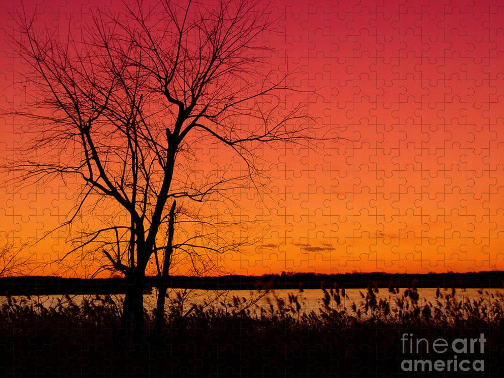 Sunrise Jigsaw Puzzle featuring the photograph Burning Skies Rural / Rustic Sunset Silhouette Landscape Photo by PIPA Fine Art - Simply Solid