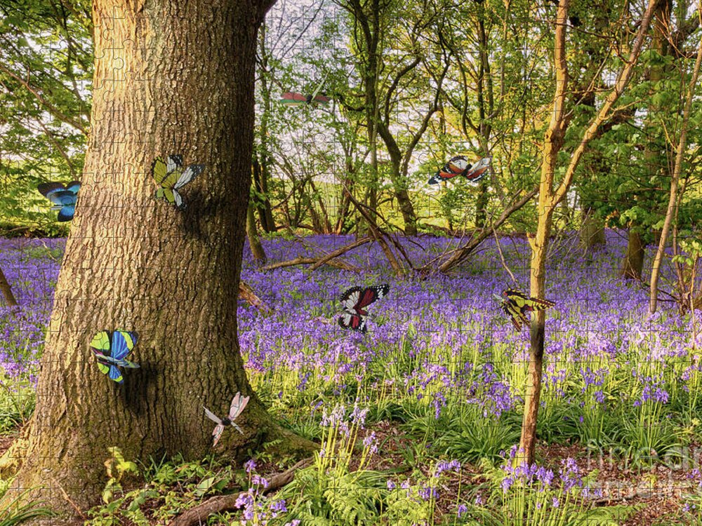Butterflies Jigsaw Puzzle featuring the photograph Butterflies in a bluebell woodland by Simon Bratt