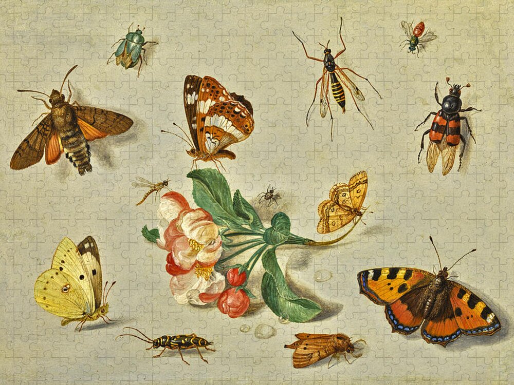 Jan Van Kessel The Elder Jigsaw Puzzle featuring the painting Butterflies, moths,a dragonfly and other insects,with a spring of apple blossom by Jan Van Kessel the Elder