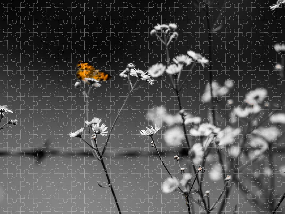 Butterfly Jigsaw Puzzle featuring the photograph Butterfly and Barb Wire by Holden The Moment