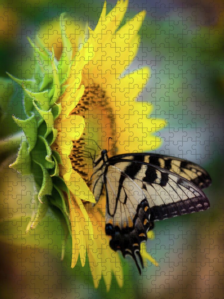 Swallowtail Butterflies Jigsaw Puzzle featuring the photograph Butterfly Mornings by Karen Wiles