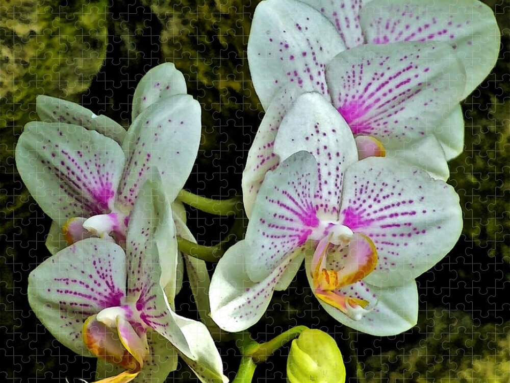Orchids Jigsaw Puzzle featuring the photograph Butterfly Orchids by Janis Senungetuk