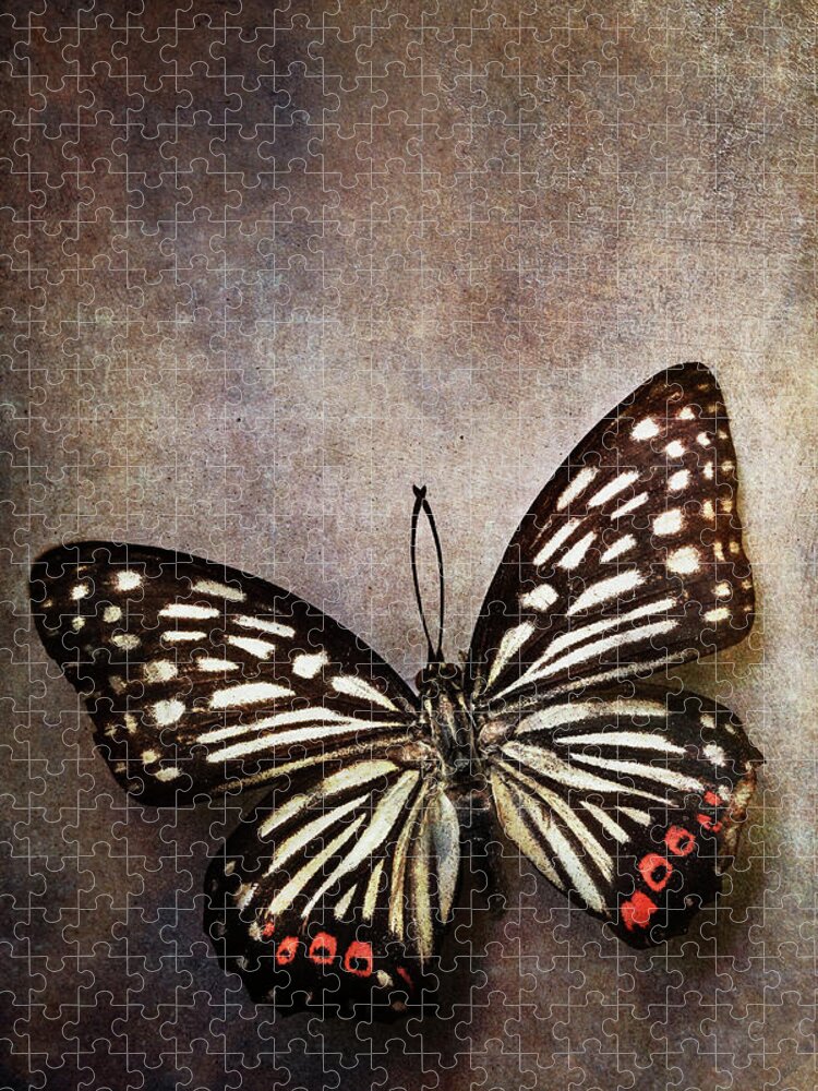 Butterfly Jigsaw Puzzle featuring the photograph Butterfly over textured background by Stephanie Frey