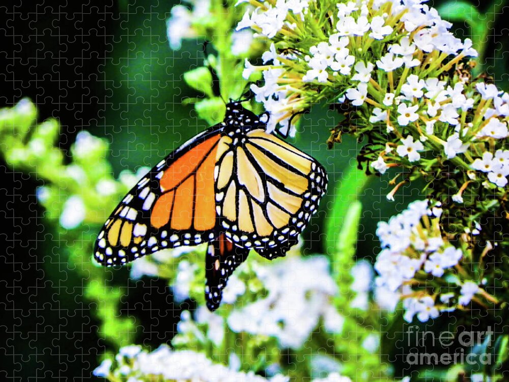 Butterfly Jigsaw Puzzle featuring the photograph Butterfly2 by Gerald Kloss