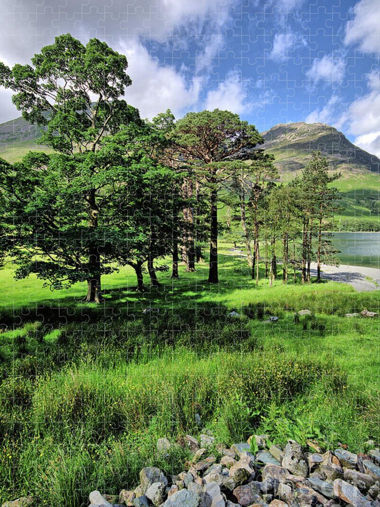 Buttermere Jigsaw Puzzle featuring the photograph Buttermere Pines by Smart Aviation
