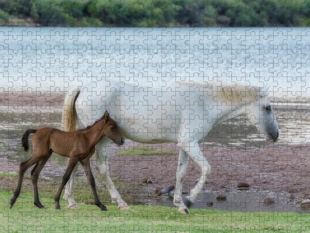 Wild Horses Jigsaw Puzzle featuring the photograph By Mama's Side is a Good Place To Be by Saija Lehtonen