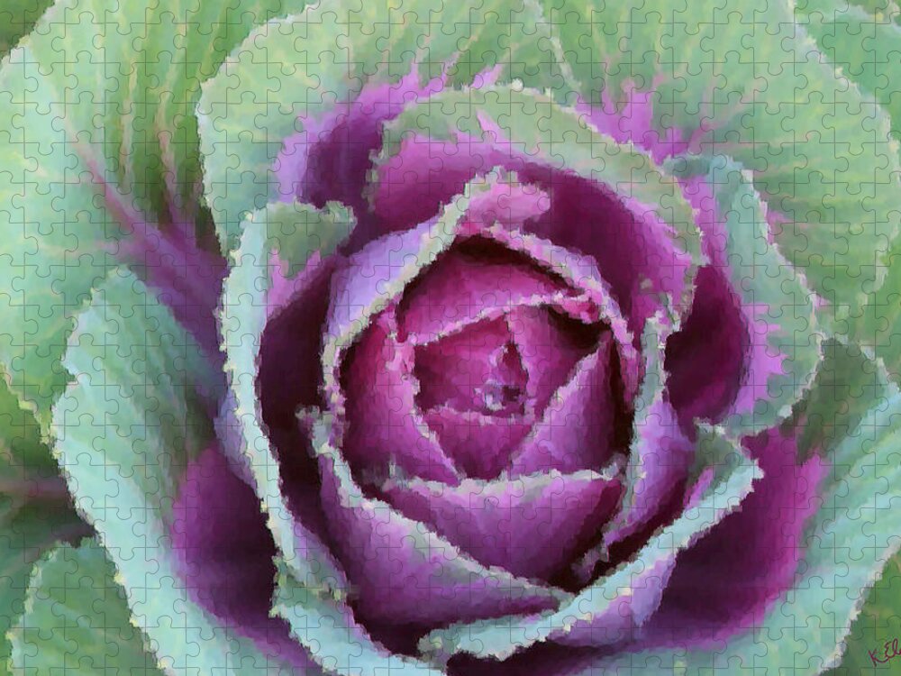 Cabbage Jigsaw Puzzle featuring the photograph Cabbage by Kristin Elmquist