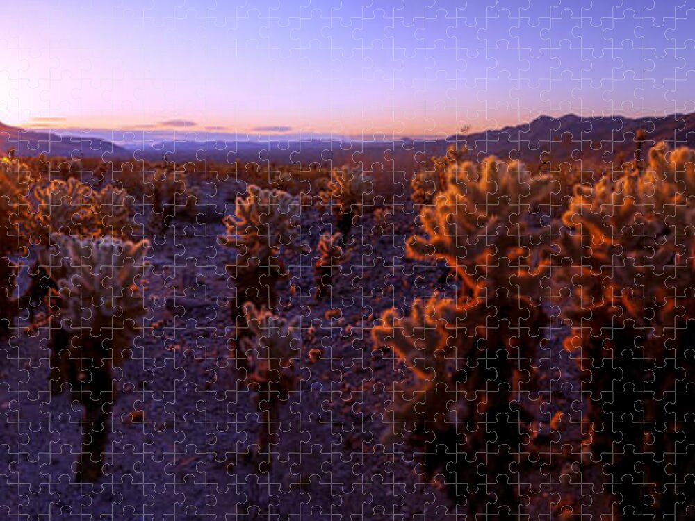 Prickly Jigsaw Puzzle featuring the photograph Prickly by Chad Dutson