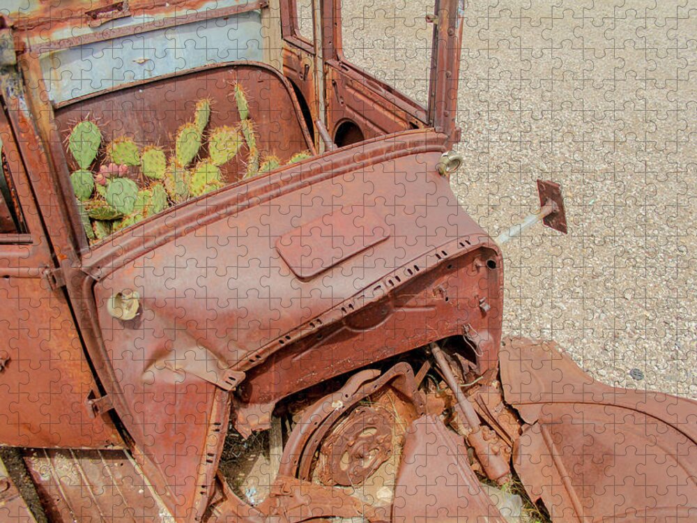 Cactus Jigsaw Puzzle featuring the photograph Cactus truck by Darrell Foster